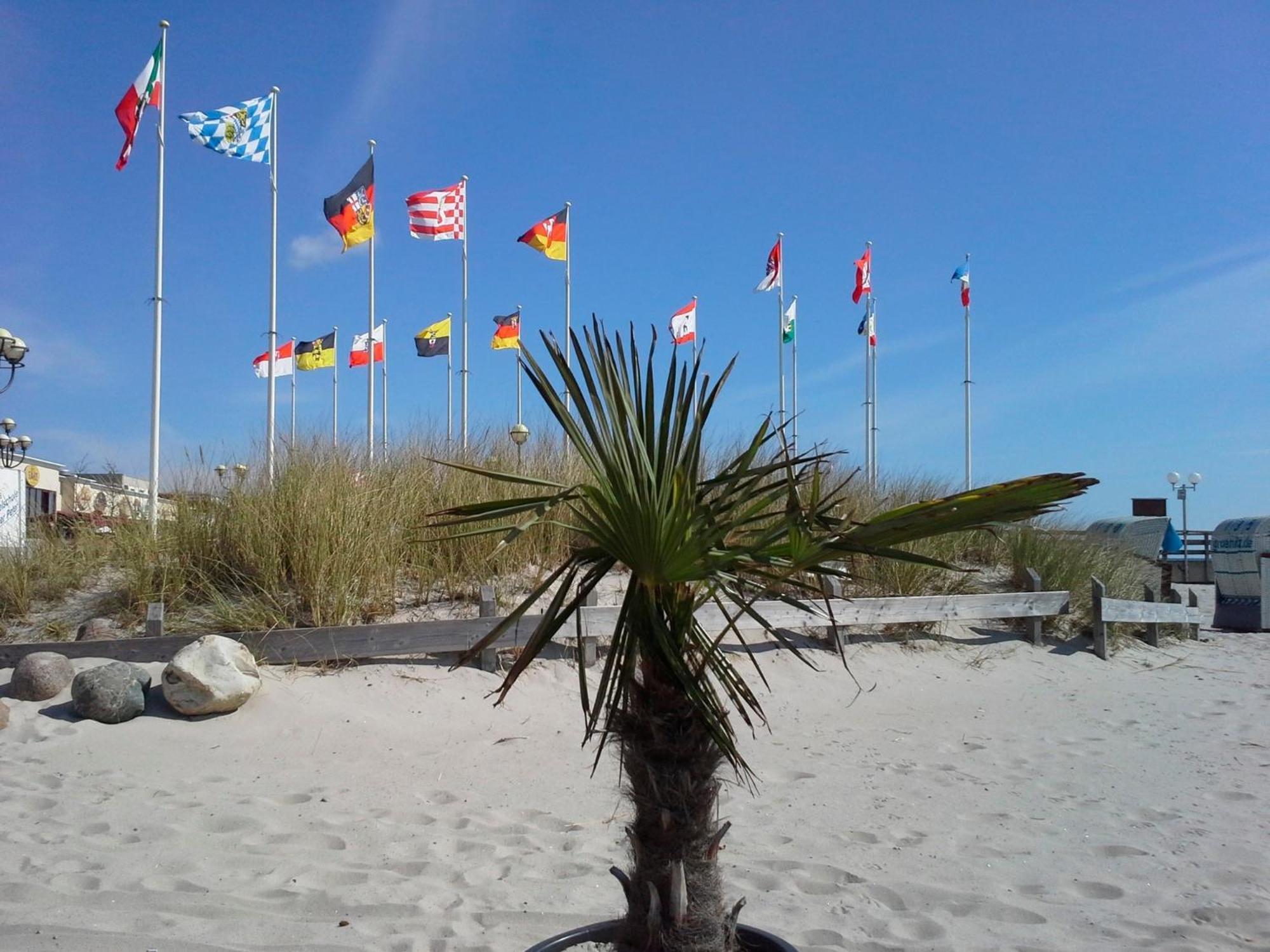 Haus Baltic - Whg 23 - Neu Inkl Saisonstrandkorb! Grömitz Buitenkant foto